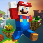 Minecraft Super Mario Edition